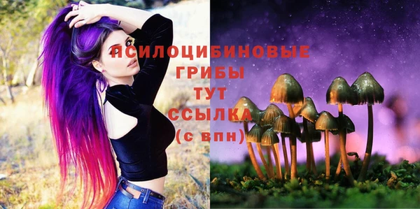2c-b Белоозёрский