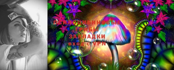 2c-b Белоозёрский