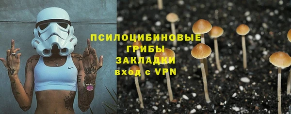 амф Беломорск