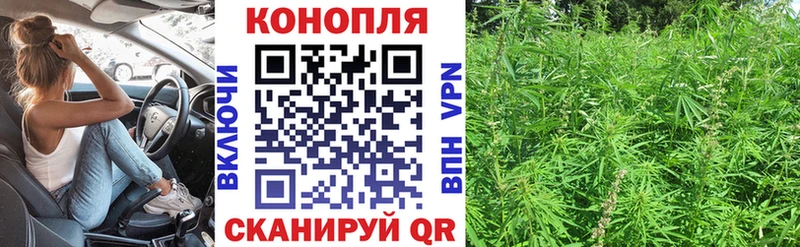 как найти закладки  Электроугли  omg   Каннабис планчик 